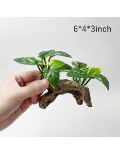 Decoración para Acuarios Smoothedo-Pets Tipo C Ecológica 2