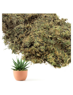 Musgo Verde Natural 141g Alphatool para Plantas y Manualidades