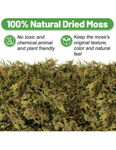 Musgo Verde Natural 141g Alphatool para Plantas y Manualidades 2