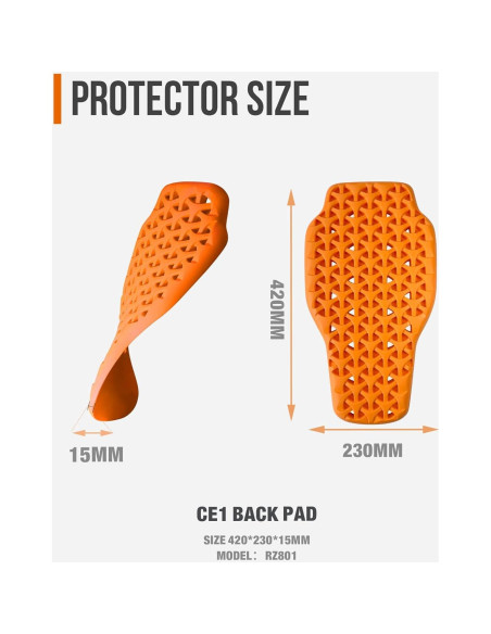 Almohadilla de Protección Espalda CE-1 BORLENI RZ-801S 298g