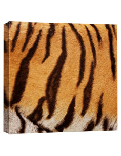 Cuadro en Lienzo Wall26 Patrón de Tigre 30.48x30.48cm