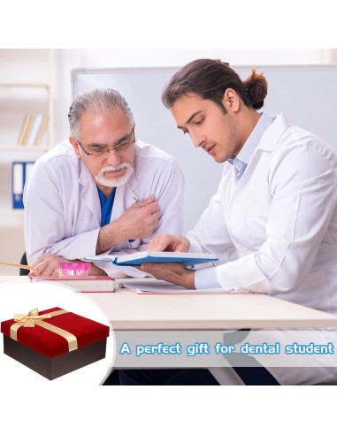 Modelo de Dientes Patológicos Rosa Outus para Educación Dental