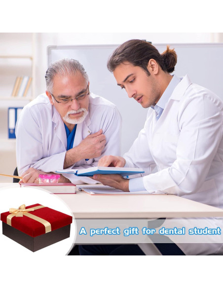 Modelo de Dientes Patológicos Rosa Outus para Educación Dental