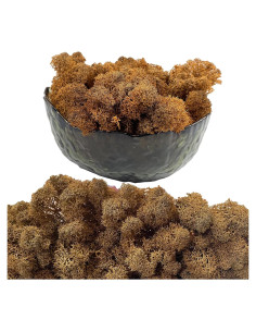 Musgo Preservado Gusaloo 250g Verde Natural para Decoración