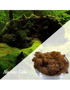 Musgo Preservado Gusaloo 250g Verde Natural para Decoración 2