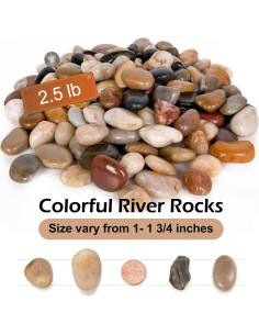 Rocas Decorativas Pulidas GASPRO 1.13kg para Jardines y Macetas 2