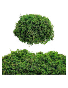 Musgo Seco Gusaloo Verde 100g para Manualidades y Decoración