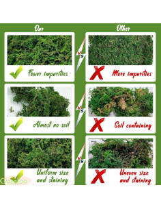 Musgo Seco Gusaloo Verde 100g para Manualidades y Decoración 2