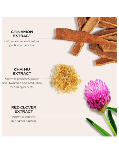 Conjunto Cuidado Piel Shiseido Bio-Performance 30mL x2