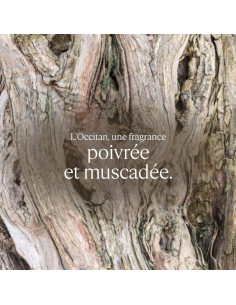 Desodorante Roll-On L'OCCITANE Sin Aluminio 145g Verbena 2