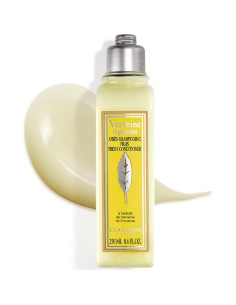 Acondicionador Fresco L'OCCITANE 248 ml - Verbena Cítrica 2