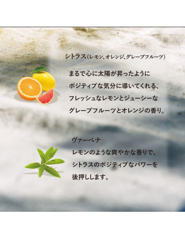 Acondicionador Fresco L'OCCITANE 248 ml - Verbena Cítrica