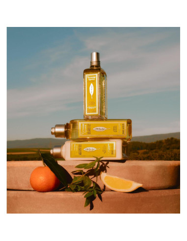 Acondicionador Fresco L'OCCITANE 248 ml - Verbena Cítrica