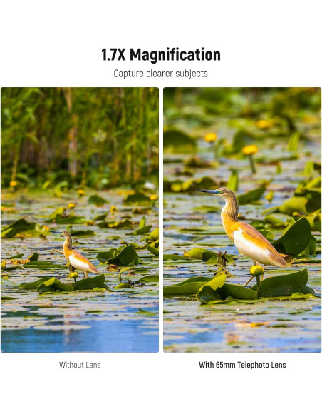Lente Telefoto NEEWER 65mm para Teléfono con Rosca 17mm Lente Telefoto NEEWER 65mm para Teléfono con Rosca 17mm