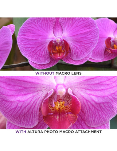 Lente Gran Angular 52MM Altura Photo 0.43X con Macro