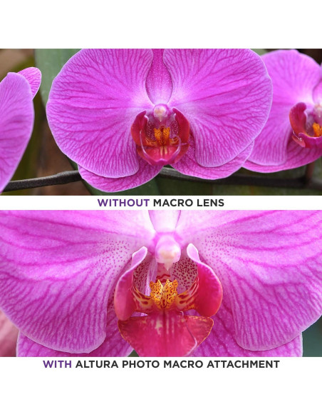 Lente Gran Angular 52MM Altura Photo 0.43X con Macro