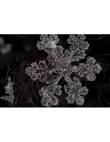 Objetivo Zhongyi Mitakon 20mm f/2 para cámara Nikon F