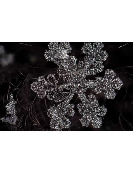 Objetivo Zhongyi Mitakon 20mm f/2 para cámara Nikon F