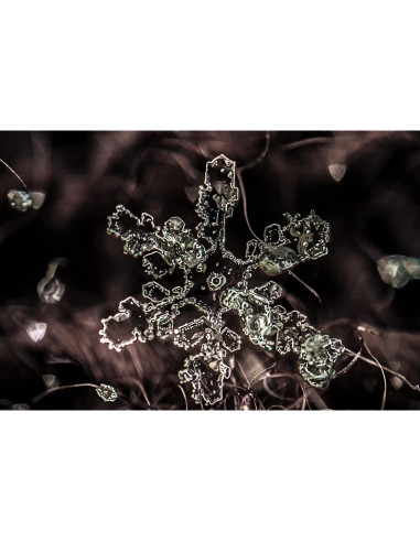 Objetivo Zhongyi Mitakon 20mm f/2 para cámara Nikon F