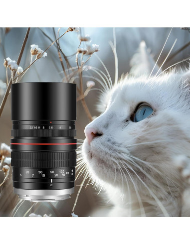 Lente Telefoto Manual JINTU 135mm f/2.8 para Canon DSLR