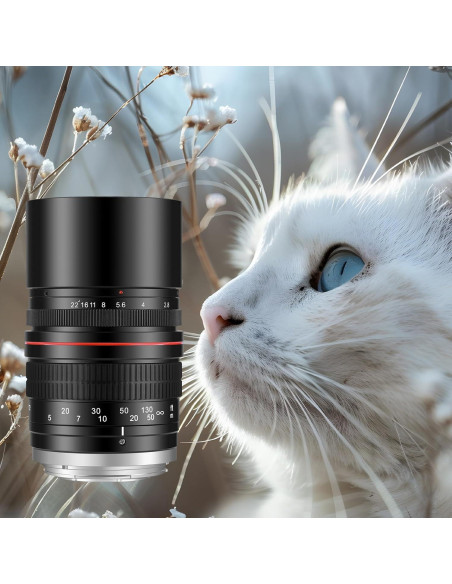 Lente Telefoto Manual JINTU 135mm f/2.8 para Canon DSLR Lente Telefoto Manual JINTU 135mm f/2.8 para Canon DSLR