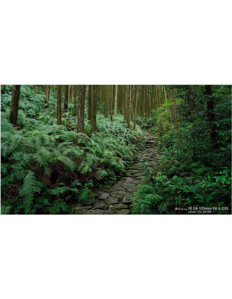 Lente Sony FE 24-105mm f/4 G OSS Montura E + Accesorios Lente Sony FE 24-105mm f/4 G OSS Montura E + Accesorios