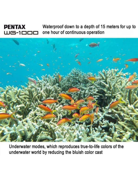 Cámara Digital Impermeable PENTAX WG-1000 Gris 15m Cámara Digital Impermeable PENTAX WG-1000 Gris 15m