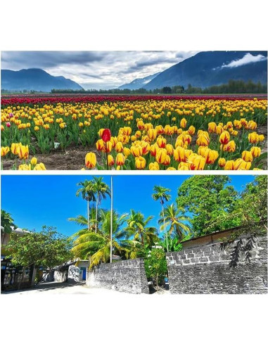 Lente Gran Angular Coyktonty para DJI Mini 4 Pro 0.75X HD