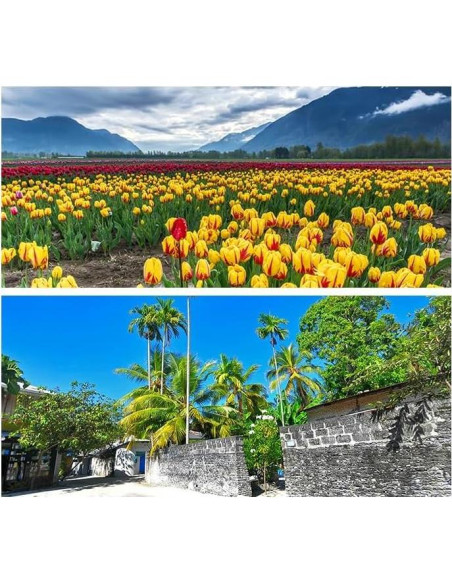 Lente Gran Angular Coyktonty para DJI Mini 4 Pro 0.75X HD