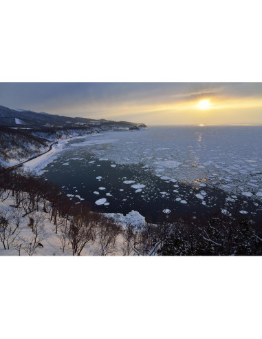 Lente Tokina AT-X Pro DX 12-28mm f/4.0 para Canon