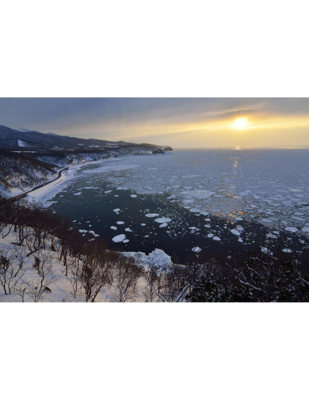 Lente Tokina AT-X Pro DX 12-28mm f/4.0 para Canon