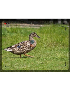 Lente Telefoto Digital 3.5x para Canon PowerShot SX60/70 HS 2