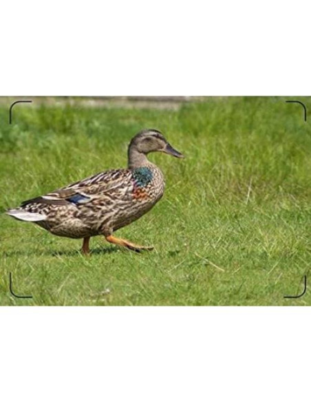 Lente Telefoto 3.5x Digital Nc para Cámaras Sony, Nikon, Canon Lente Telefoto 3.5x Digital Nc para Cámaras Sony, Nikon, Canon