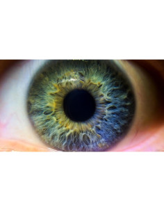 Lente de Acercamiento Olympus E-PL5 10x Macro 62mm 2