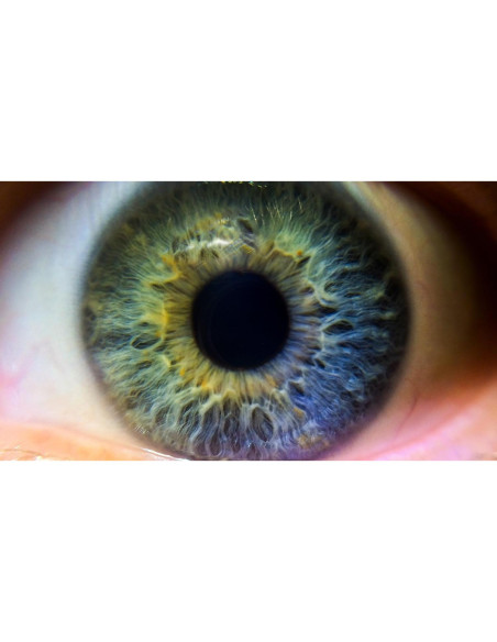 Lente Macro Digital Nc 10x 67mm para Pentax K-5 IIs Lente Macro Digital Nc 10x 67mm para Pentax K-5 IIs