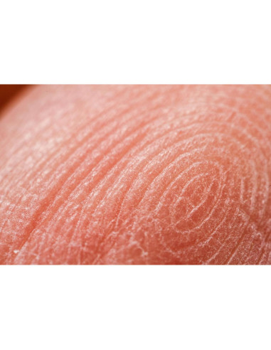 Lente Macro Zhongyi Mitakon 20mm f/2 para Canon EOS-M