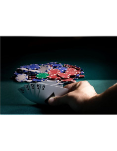 Juego de Póker Fat Cat 500 Fichas 11.5g con Estuche 2