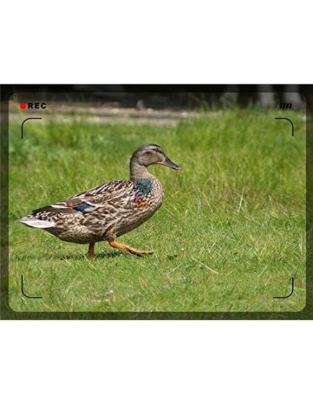 Lente Telefoto Manual 1000mm Digital Nc para Sony Alpha a7R II Lente Telefoto Manual 1000mm Digital Nc para Sony Alpha a7R II