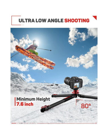 Trípode de Video IFOOTAGE de Fibra de Carbono 165 cm + Grúa Mini M1 III 216 cm