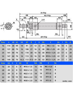 Cilindro de Aire TAILONZ 25mm Diámetro 125mm Carrera Doble 2