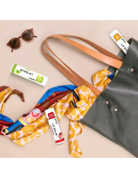 Bálsamo Labial Natural DMSKY 24 Paquetes 12 Sabores Hidratante