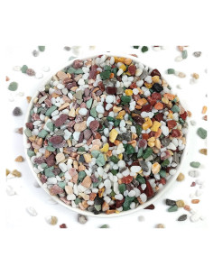 Grava Decorativa YISZM 2kg para Suculentas y Cactus