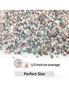 Grava Decorativa YISZM 2kg para Suculentas y Cactus 2