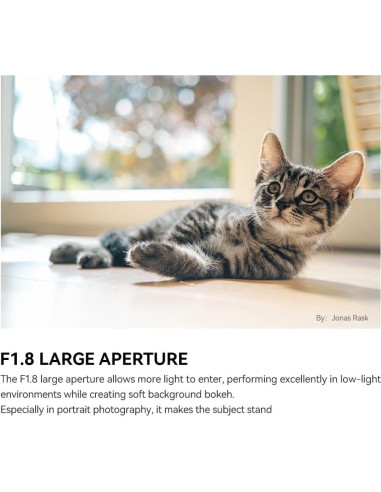 Lente TTartisan AF 35mm F1.8 II para Fujifilm X - Negro