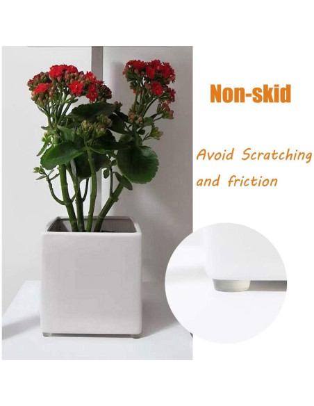 Bumpers Transparentes Autoadhesivos de Silicona 272 Pcs - 5 Tamaños