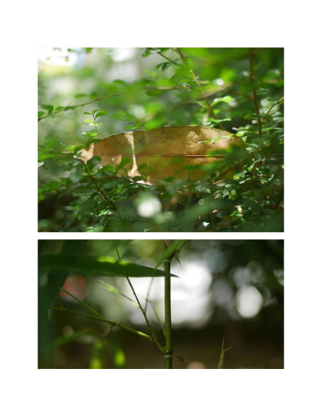 Lente SLR Magic CINE 25mm T1.5 para Cámara Fuji X