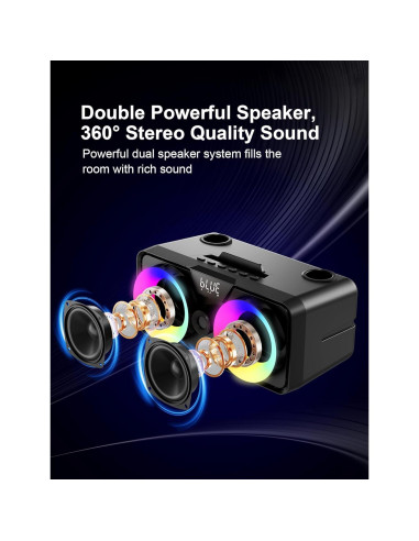 Máquina de Karaoke SINWE SK317 con 2 Micrófonos Inalámbricos