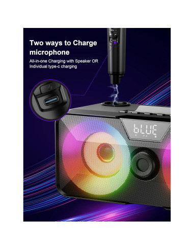 Máquina de Karaoke SINWE SK317 con 2 Micrófonos Inalámbricos