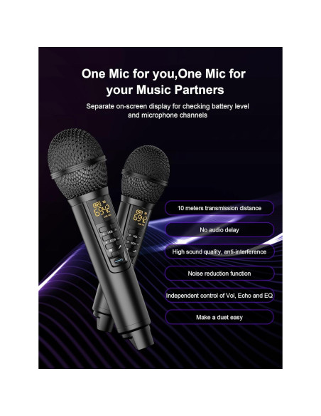 Máquina de Karaoke SINWE SK317 con 2 Micrófonos Inalámbricos