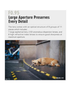 Lente TTArtisan 50mm F0.95 Manual para Cámaras Leica M 2